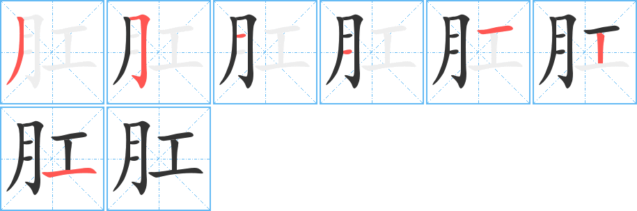 肛的笔顺分步演示