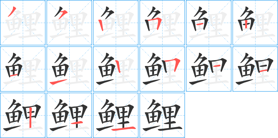 鲤的笔顺分步演示